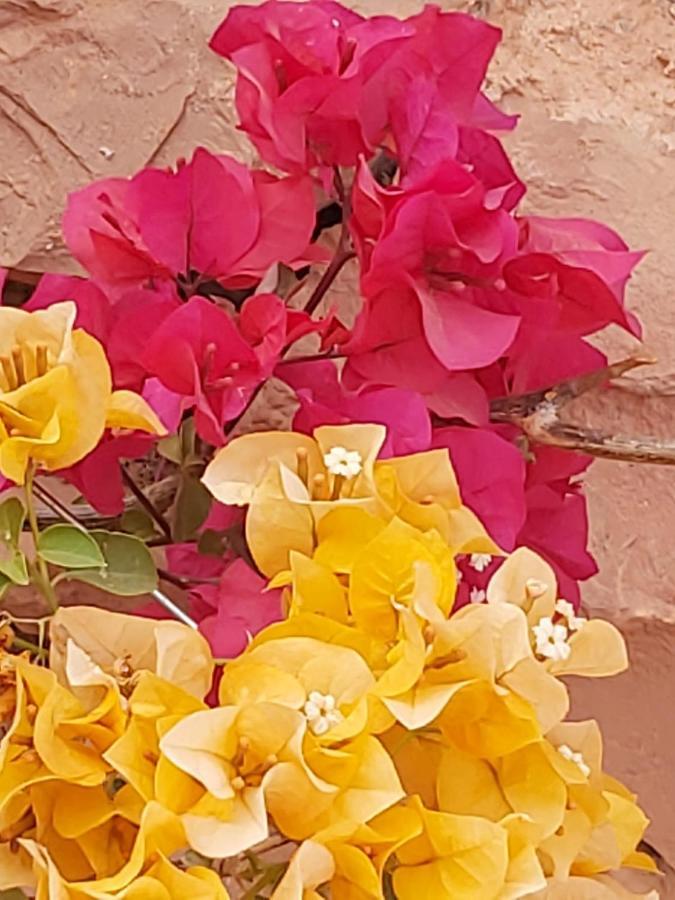 kasbah Ait arbi Hotel Ait Ougliff Bagian luar foto