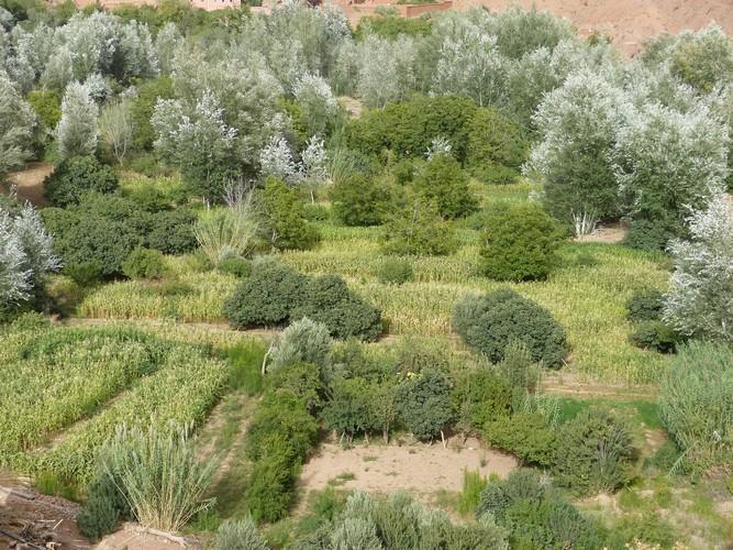 kasbah Ait arbi Hotel Ait Ougliff Bagian luar foto